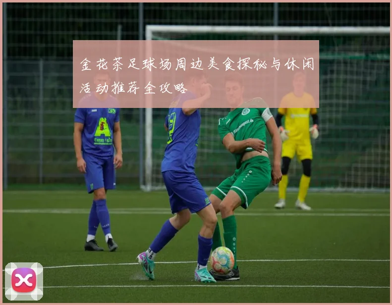 金花茶足球场周边美食探秘与休闲活动推荐全攻略