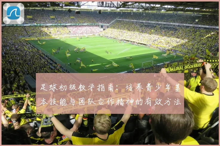 足球初级教学指南：培养青少年基本技能与团队合作精神的有效方法