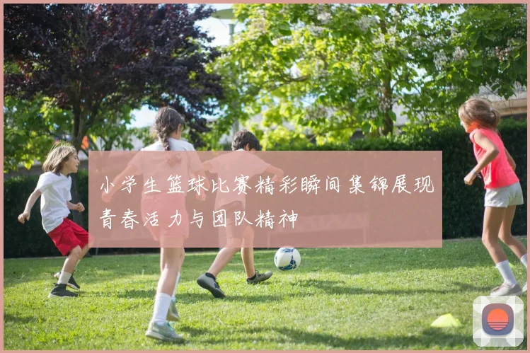 小学生篮球比赛精彩瞬间集锦展现青春活力与团队精神