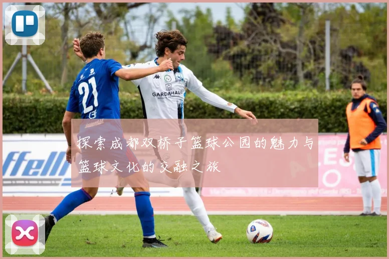 探索成都双桥子篮球公园的魅力与篮球文化的交融之旅